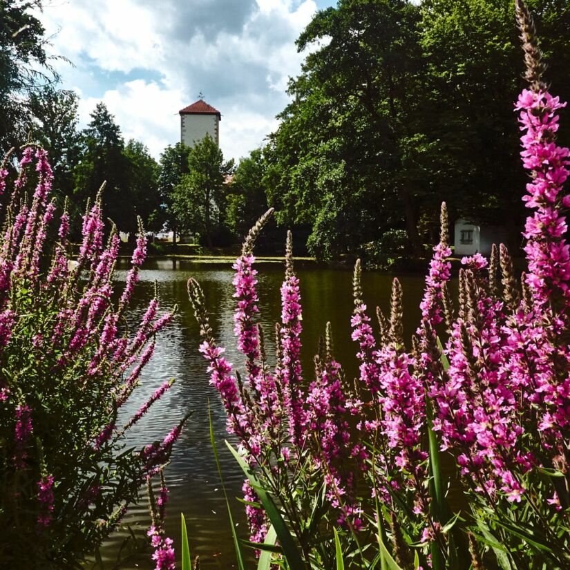 Sehenswürdigkeiten Gemeinde WuthaFarnroda